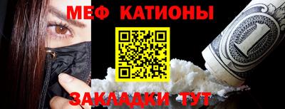 сатива Краснознаменск