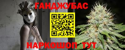 сатива Краснознаменск