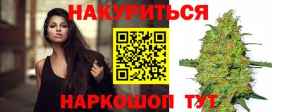 сатива Краснознаменск