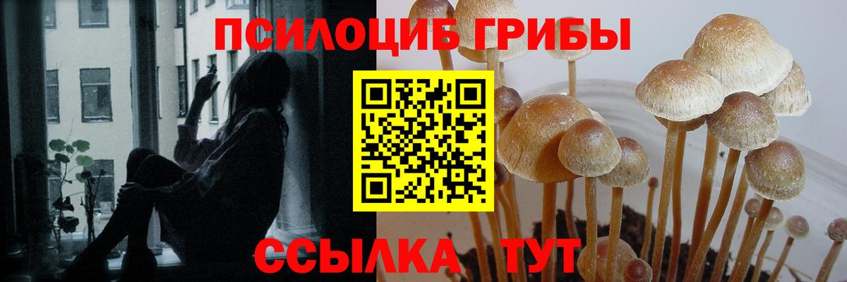 Клин  Галлюциногенные грибы мицелий  Вход с VPN 